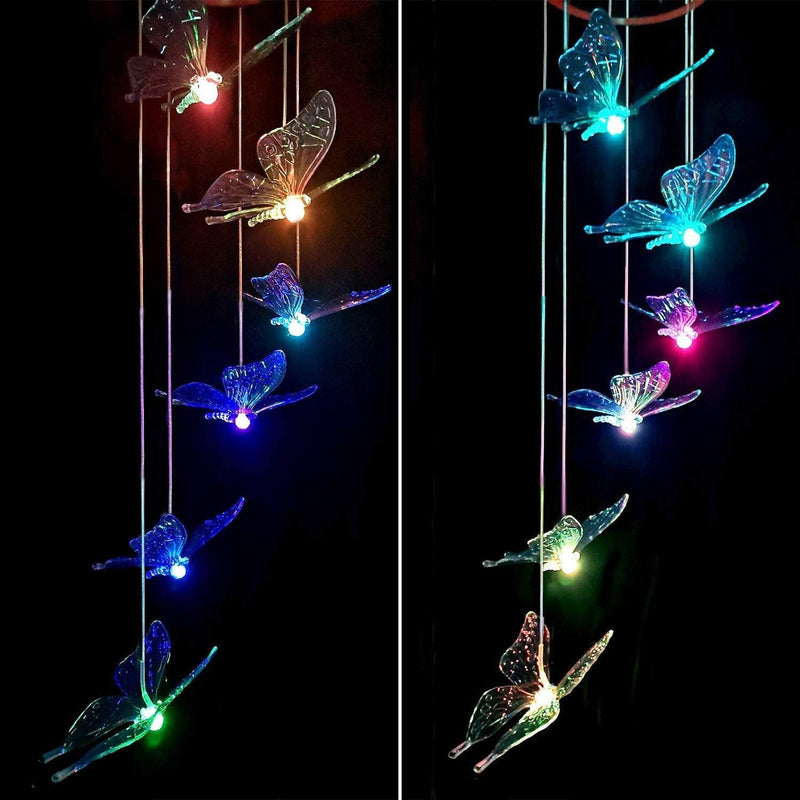Solar Butterfly Lights 