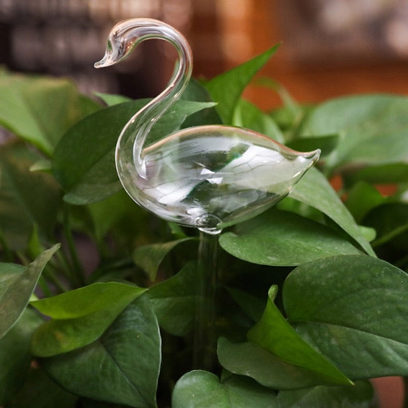 Self-watering Plant Bulb