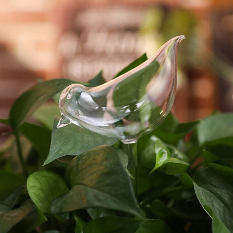 Self-watering Plant Bulb