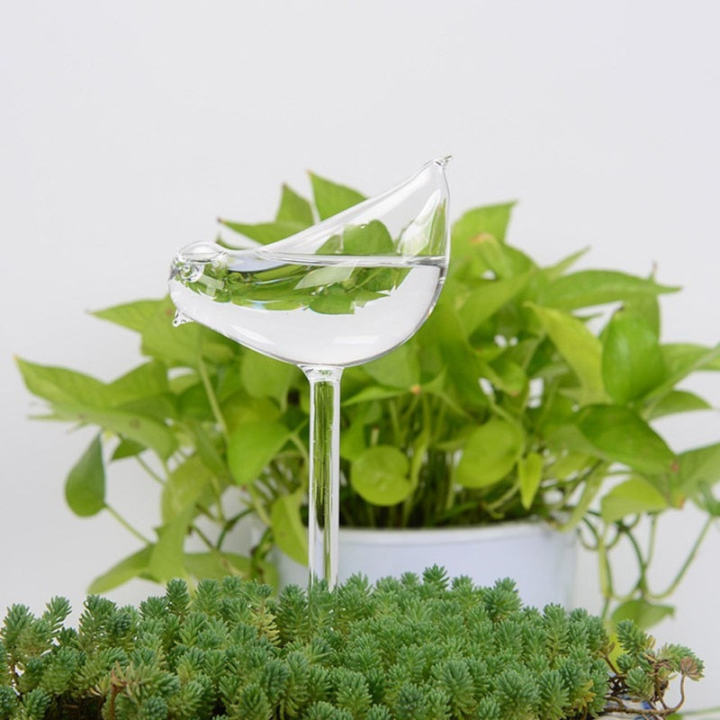 Self-watering Plant Bulb
