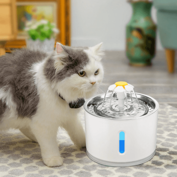 Hydratatie Katten Waterfontijn