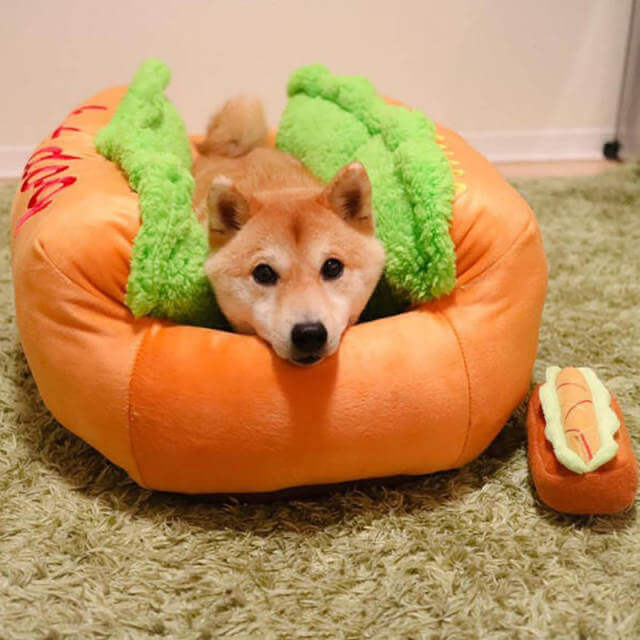 Grappig Hot Dog Bed