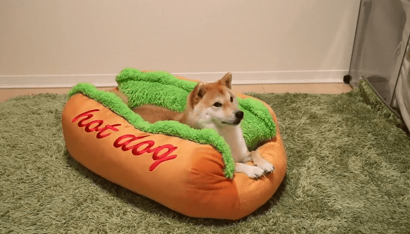 Grappig Hot Dog Bed