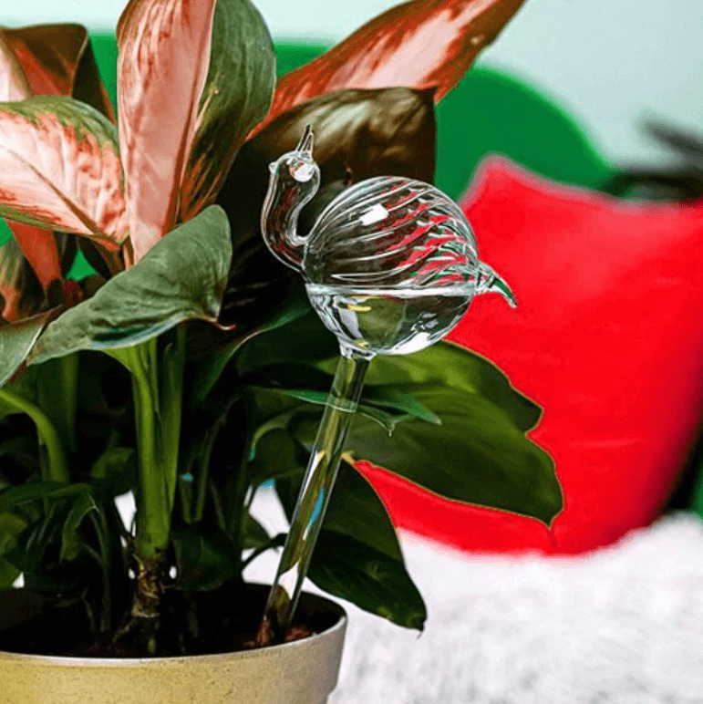 Self-watering Plant Bulb