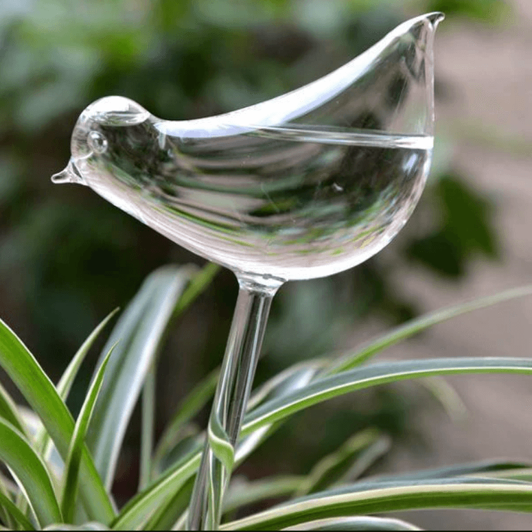 Self-watering Plant Bulb