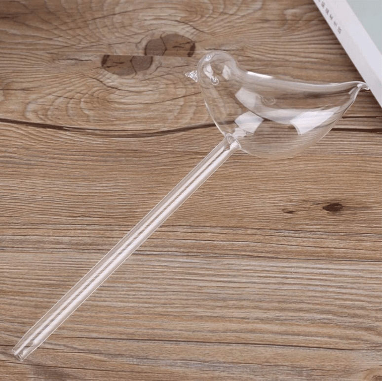 Self-watering Plant Bulb