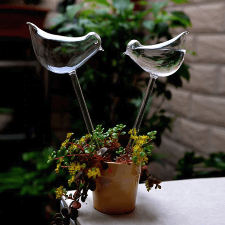 Self-watering Plant Bulb