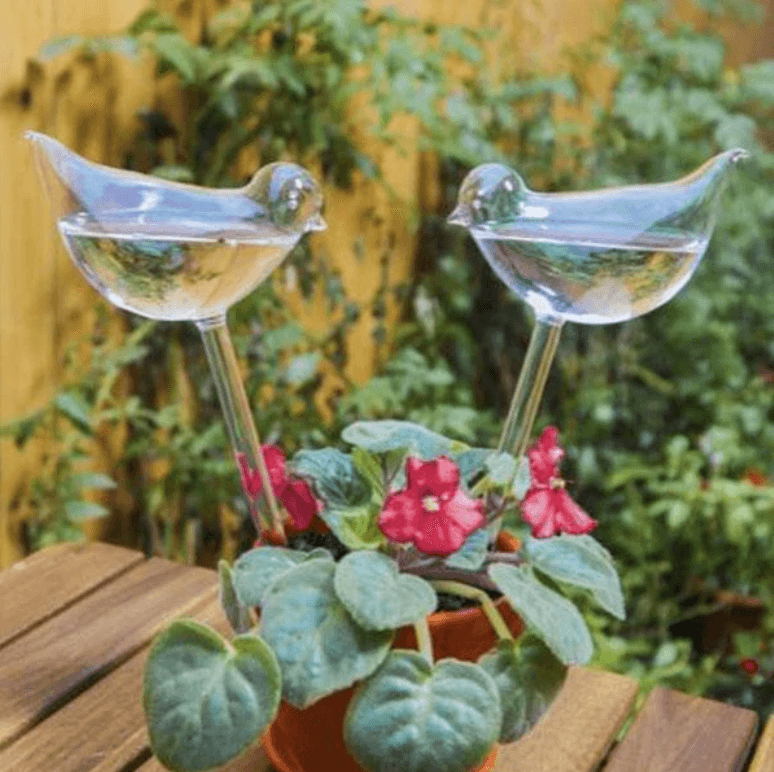 Self-watering Plant Bulb