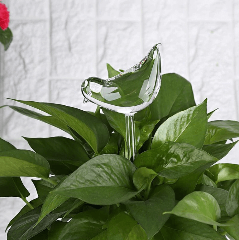 Self-watering Plant Bulb