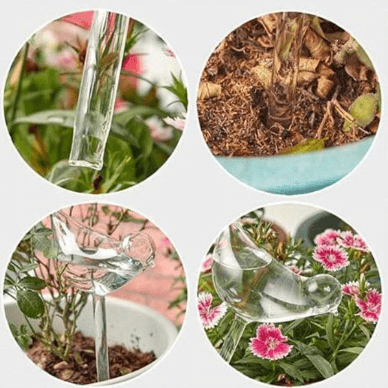 Self-watering Plant Bulb