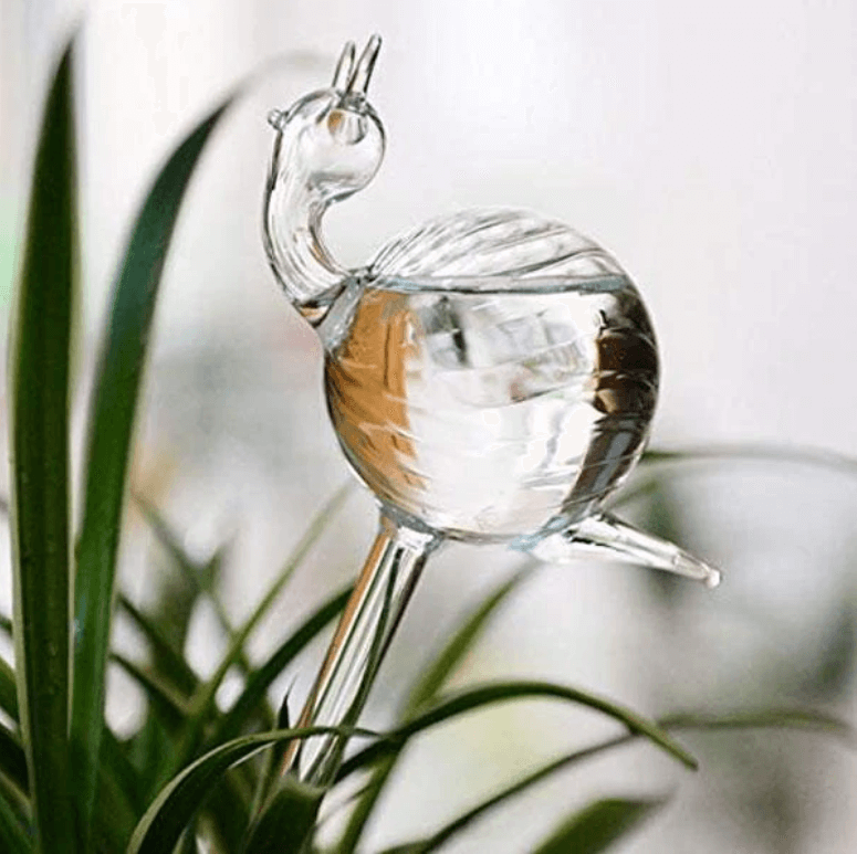 Self-watering Plant Bulb