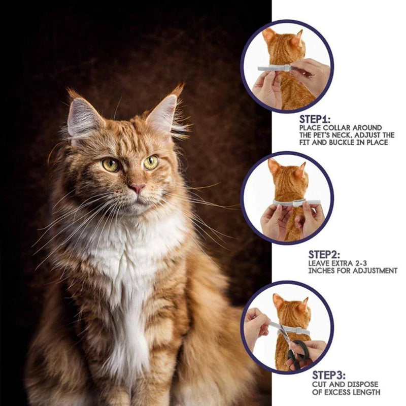 Flea and Tick Collar for Dogs and Cats 